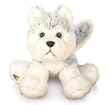 Webkinz Husky