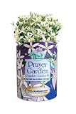 Gifts That Bloom ~ Prayer Garden