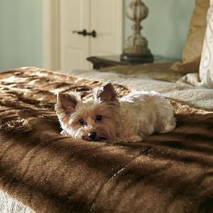 Luxe Faux Fur Pet Throw - Sable, Large (97" x 30") - Frontgate Dog Bed