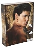 Twilight New Moon Jacob Jigsaw Puzzle