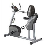 Horizon Fitness H308 Hybrid Cycle