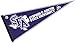 Stephen F Austin State Pennant Full Size Felt