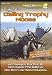 CALLING TROPHY MOOSE DVD