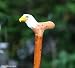 Hand Carved and Painted Wood Eagle Walking Stick Cane