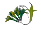 Saltwater Fishing Lure Bird and 4 feather lures with a hook in the last one FREE SHIPPING AND 20% CUSTOMER APPRECIATION DISCOUNT