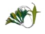 Saltwater Fishing Lure Bird and 4 feather lures with a hook in the last one FREE SHIPPING AND 50% CUSTOMER APPRECIATION DISCOUNT