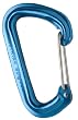 Black Diamond Neutrino Carabiner