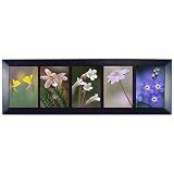 Shim Row-Style Collage Frame - Black