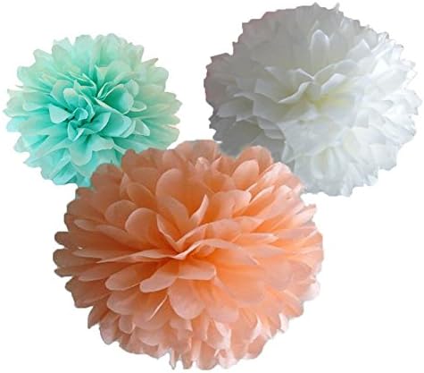 DooXoo Pom Tissue Paper Pom Pom Arrangement Turquoise Coral Wedding Decor Baby Nursery Decor Coral Tissue Paper Poms