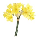 COVENT GARDEN ジョンクイラ・ブーケ TA-35