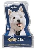 Anti-Bark-Halsband Citrusduft