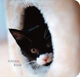 Kitten Pocket Address Book (Paperstyle Pocket Address Books)
