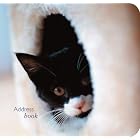 Click here to buy Kitten Pocket Address Book by  Ryland Peters & Small.