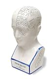Large Phrenology Head - Porcelain 13 Tall POR-37843