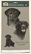 David Kiphuth Dog Breed Kitchen Towel--Black Labrador Lab
