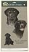 David Kiphuth Dog Breed Kitchen Towel--Black Labrador Lab
