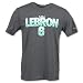 NIKE LeBron 6 Pattern Men's Basketball Tee Shirt, Antracite/Mint Candy