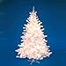 6' Pre-Lit Majestic White Christmas Tree - Clear Lights