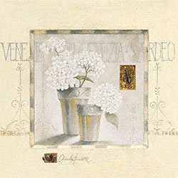 Eurographics CA1324 Claudia Ancilotti, Venezia 30 x 30 cm, Hochwertiger Kunstdruck - Stillleben