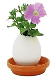  : Eggling - Flower - Petunia