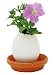 Third Party New : Eggling - Flower - Petunia