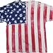 FR101 - Frank Allover American Flag Vertical T-Shirt (X-Large)