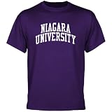 NCAA Niagara Purple Eagles Basic Arch T-Shirt - Purple