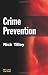 Crime Prevention (Criminal Justice Series)