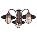 Monte Carlo MC89RB-L 3-Light Warehouse Light Kit, Roman Bronze Finish