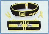 Ankle/Wrist Weights Swim Weight Belt 10 Lb.
