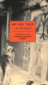 My Dog Tulip