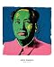 Andy Warhol (Mao) Art Poster Print - 16
