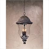 Monkey Outdoor Pendant in English Bronze