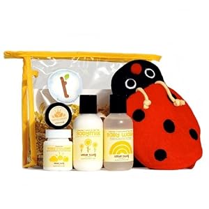 Organic Travel Basics Lady Bug by Little Twig