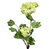 Produkt-Information 