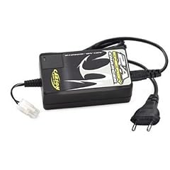Carson 605016 - Schnell Ladeger�t 2A Delta Peak