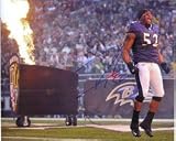Signed Lewis, Ray (Baltimore Ravens) 8x10 Photo