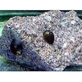 ���i�̏ڍ�