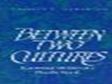Between two cultures : ecumenical ministry in a pluralist world