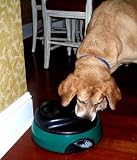 Deluxe Digital Pet Dish