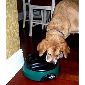 Deluxe Digital Pet Dish