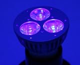 UV LED Spot Light 3-Watt AC 395 - 405 nm UV