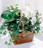 The FTD® White Assortment Basket