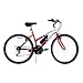 Bike USA Titan Pathfinder Ladies 18 Speed Mountain Bike