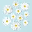 Martha Stewart Crafts Stickers, Dimensional Daisy Glossary