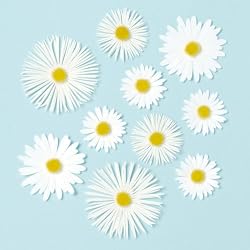 Martha Stewart Crafts Stickers, Dimensional Daisy Glossary