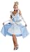 Cinderella Costume