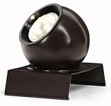 Small Adjustable Spotlight