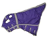Winter Horse Blanket Hood 1200D Purple