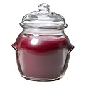 Spiced Apple Soybean Candle in a Pot- Red
